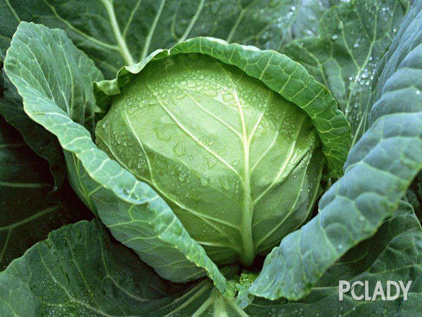 尿酸高不能吃哪些食物蔬菜和水果,尿酸高不能吃哪些食物和蔬菜