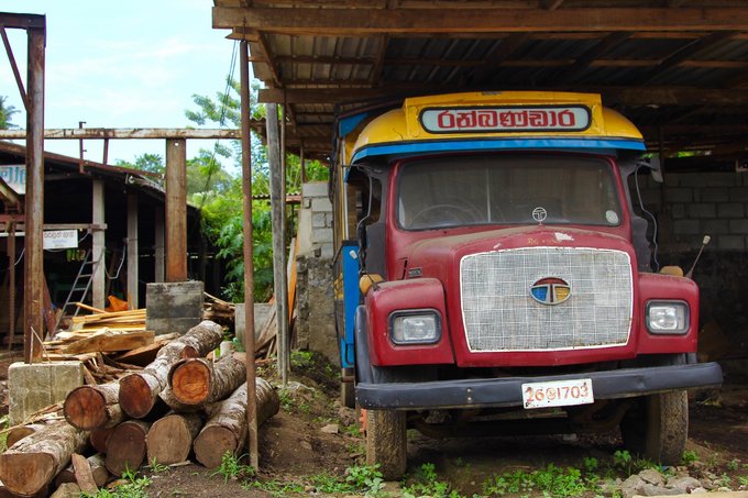 锡兰,九野,春天里@2016