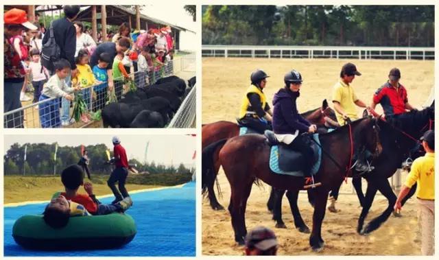 深圳小众游玩圣地,深圳一日游攻略最不值得去的地方