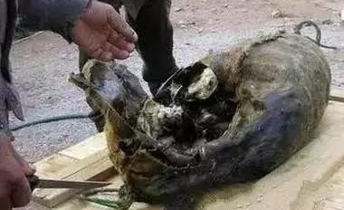 有哪些食物比臭豆腐还臭,哪些食物比臭豆腐还难吃