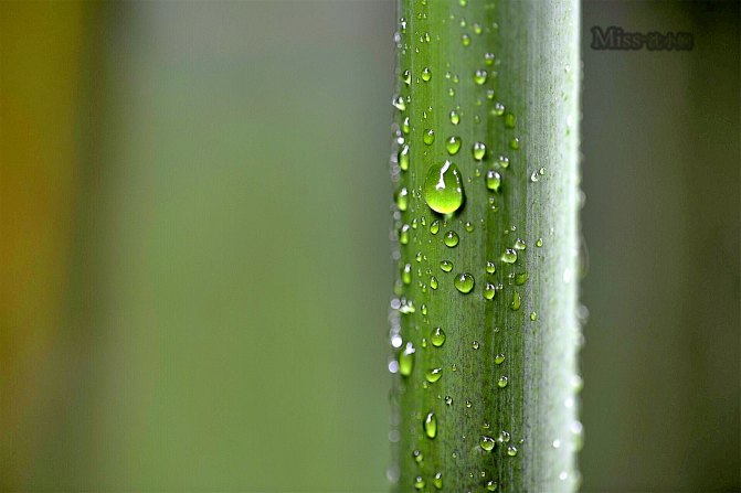 在这座神山中，我们每个人都是武林高手