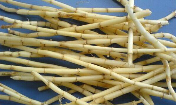 糖尿病患者口渴的中药治疗,糖尿病口渴上焦热的治疗