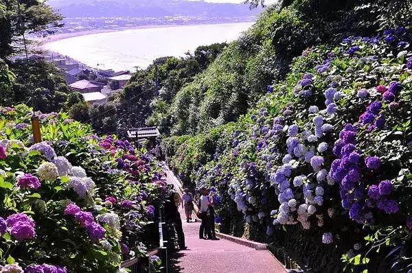 日本姑娘长什么样,想象中的日本是这样的吗