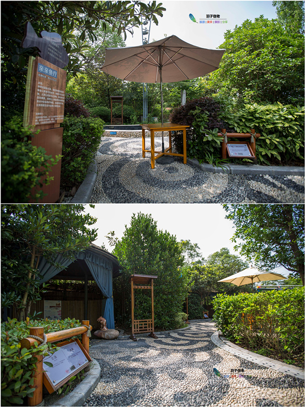 水世界冰雪嘉年华,水狂欢水世界多少钱