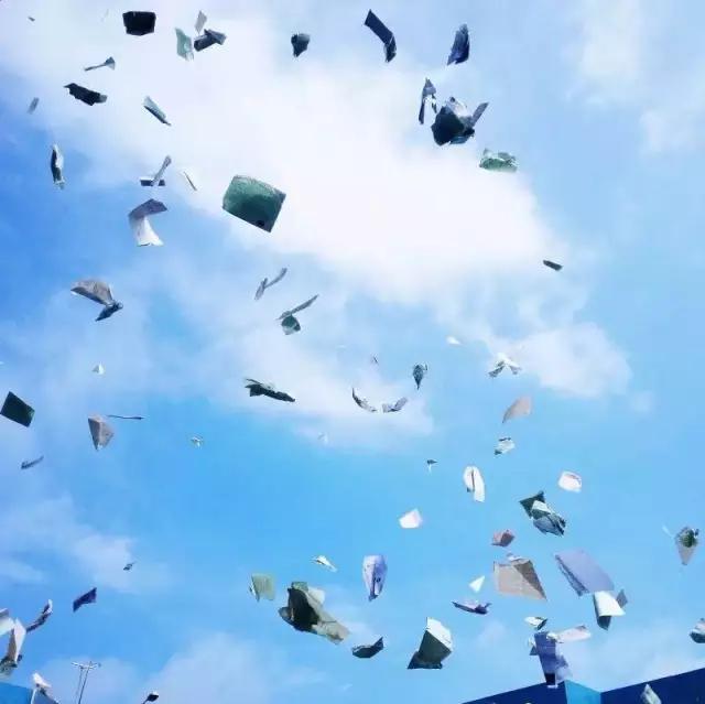 点赞他们的高光时刻,大家用手机拍出过什么好看的照片