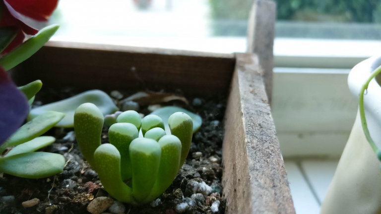 上手体验感好手机,上手体验好的手机