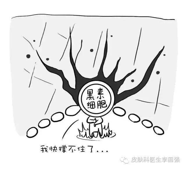 你不是冯小刚,并不能不重视!