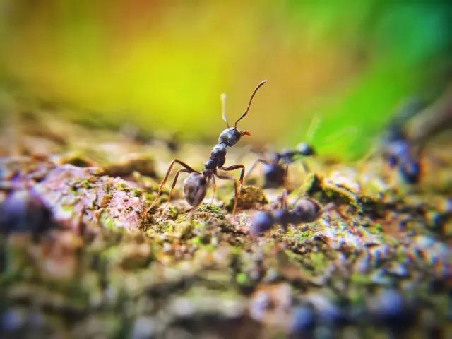 点赞他们的高光时刻,大家用手机拍出过什么好看的照片