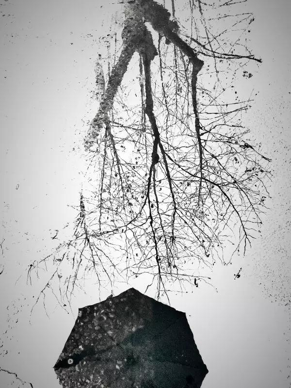 点赞他们的高光时刻,大家用手机拍出过什么好看的照片