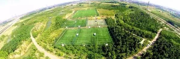 在家熬夜看欧冠图片,在家熬夜看球的视频