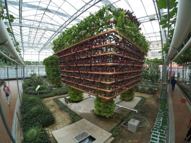 带上小蚁运动相机游潍坊（三）寿光菜博会