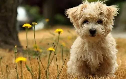 中山西区好消息,中山儿童公园近况