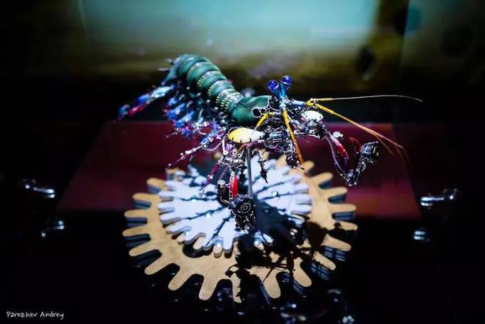 宇田川誉仁有蜘蛛作品吗,宇田川誉仁所用零件