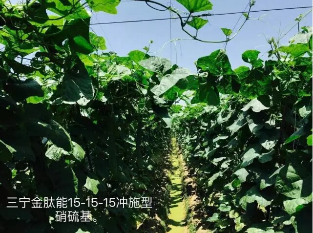 婀栧寳鏋濇睙涓夊畞,婀栧寳涓夊畞濂藉悧