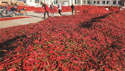 洮南农业,临洮县农业发展思路