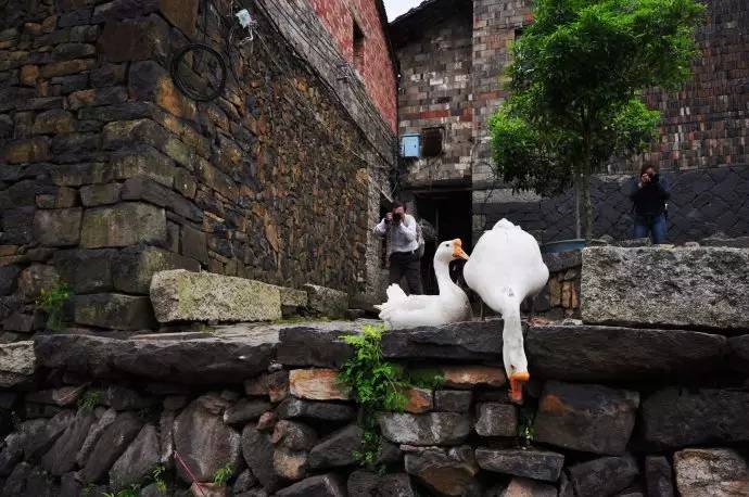 浙江亲子度假村,儿童乐园酒店吃住一体推荐