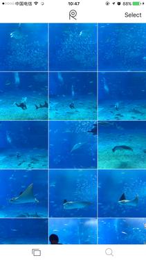 好用的相册拍照软件,即时拍照的相册app