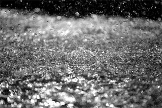 重庆崽儿所有视频,重庆崽儿原版视频