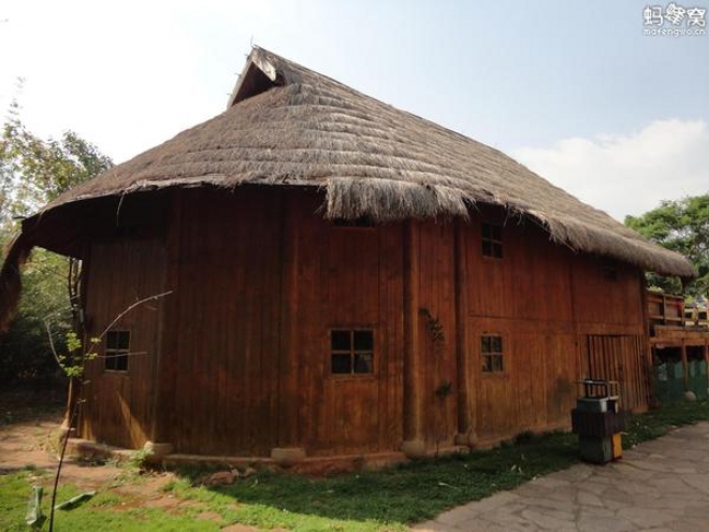 高洪波国足,国足本土教练高洪波