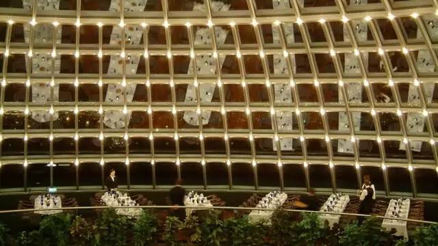 欧洲杯冰岛去哪了,欧洲杯冰岛