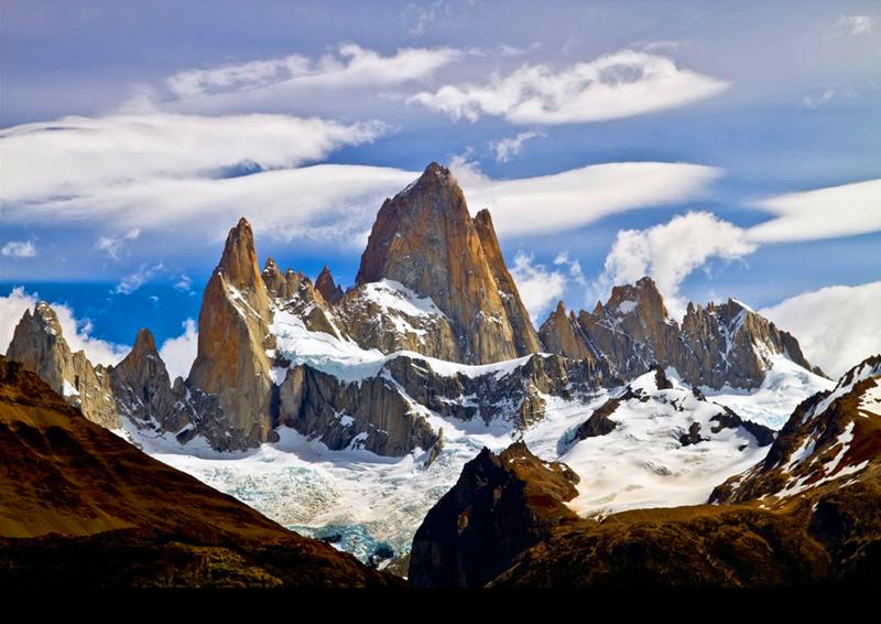 关于玫瑰果油，trilogy和coesam到底哪家强