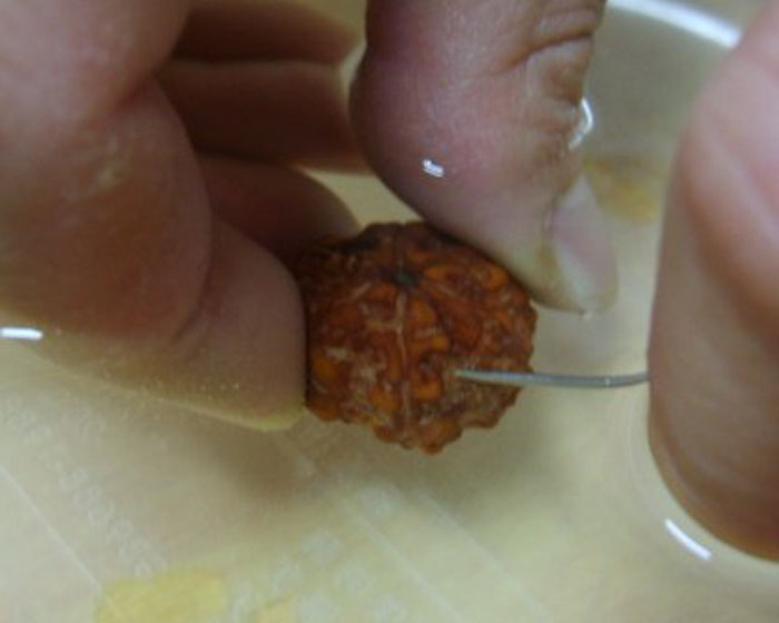 金刚怎么清洗视频教程,金刚网纱窗的清洗方法