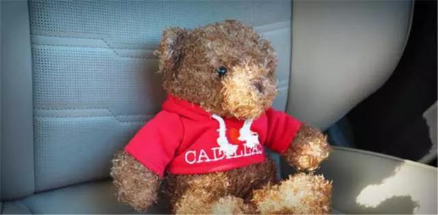 五感试驾,五感体验