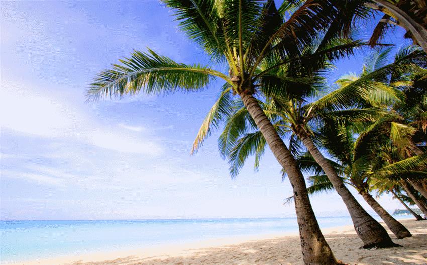 吃个饭感觉去了新加坡，在佛山我只服星州大椰！