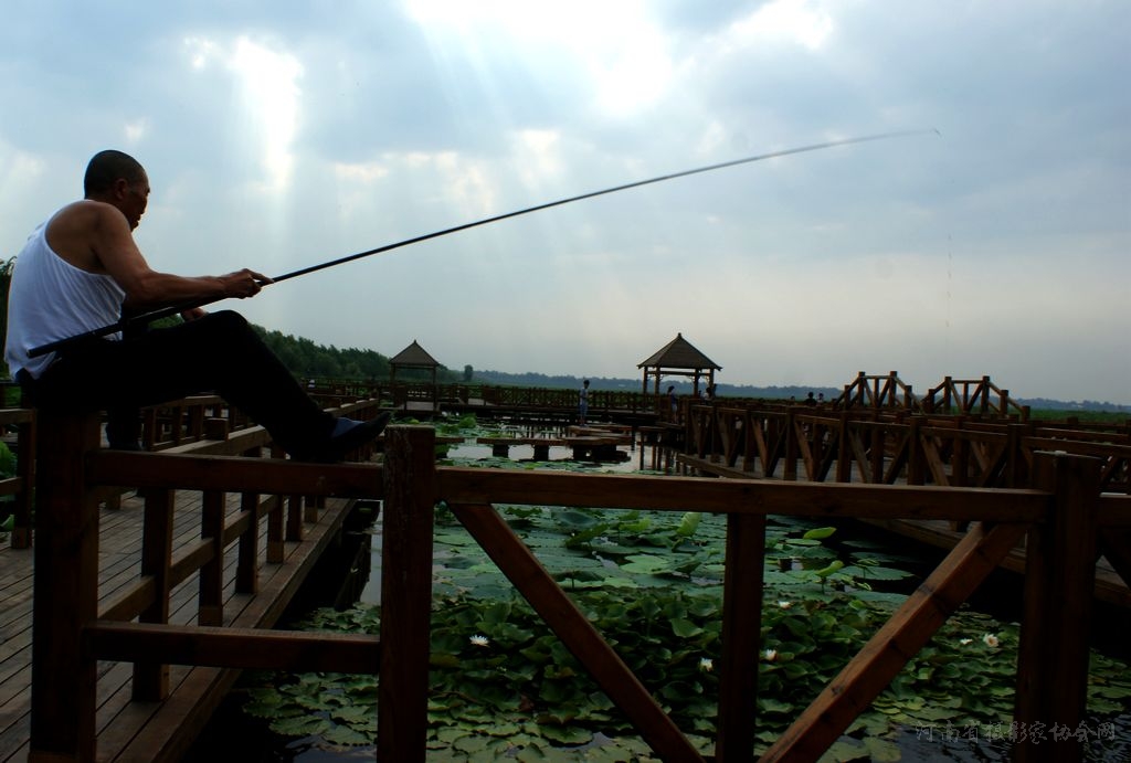 河南江南水乡,河南的水乡