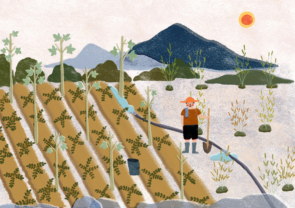 获得天使轮融资的公司有多开心,获得天使轮融资会是骗局吗