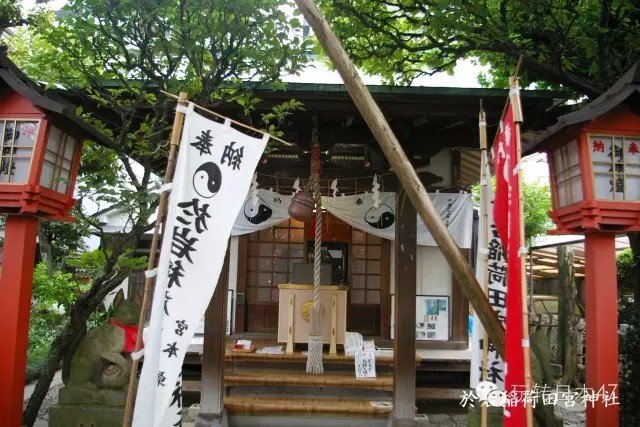 日本旅游攻略东京8天,最新日本旅游攻略一日游