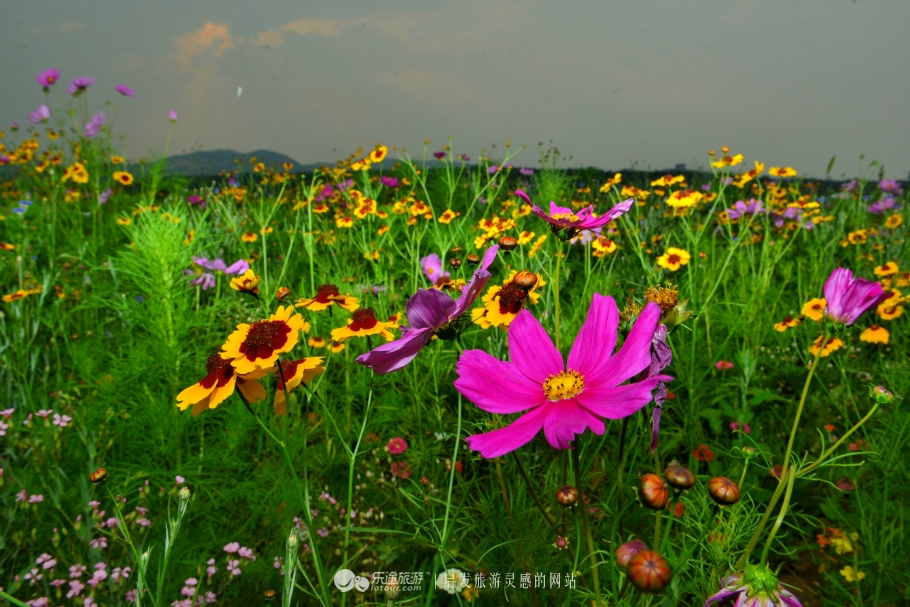 红石沟油菜花,红石沟秋景