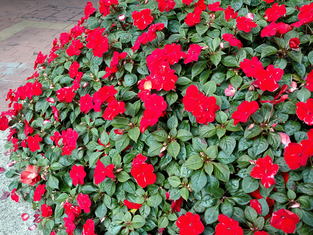 motox一代评测,motox深度测评