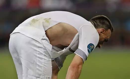 瑞士队视频,瑞士牧羊犬幼犬怎么看纯不纯