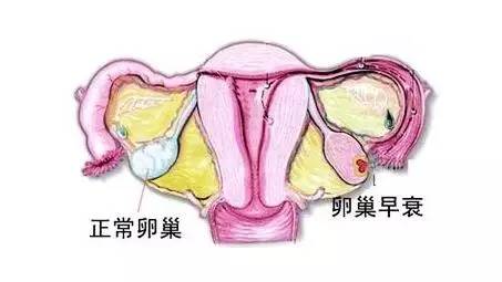 女人三十岁后最忌讳什么,女人三十禁忌