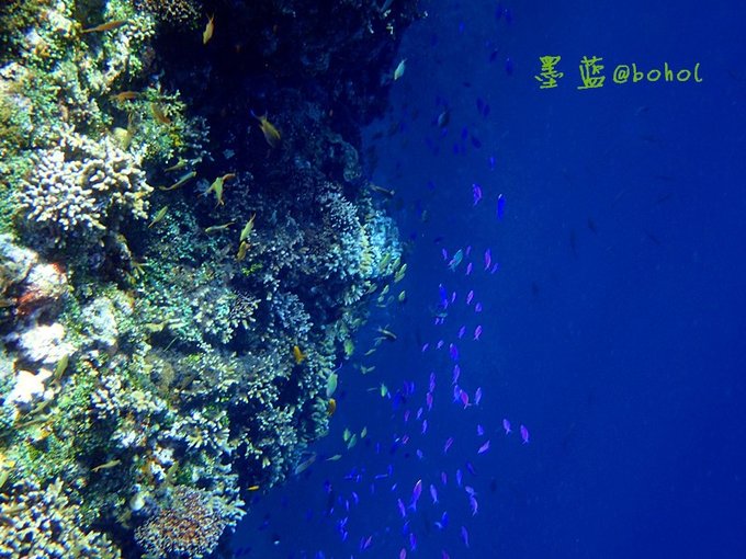 宿务薄荷锡岛,宿务薄荷瀑布