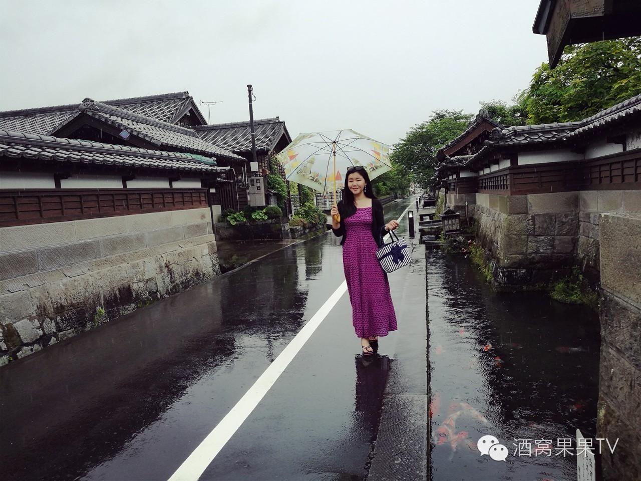 加勒比邮轮之旅,游轮畅游加勒比海