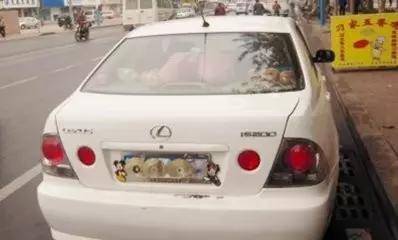 这智商，还有脸遮挡车牌？