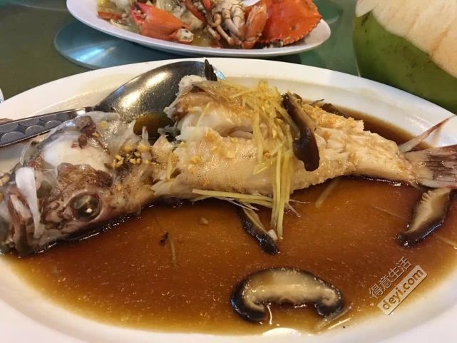 亚庇旅游攻略亲子,人均2000元三天游玩