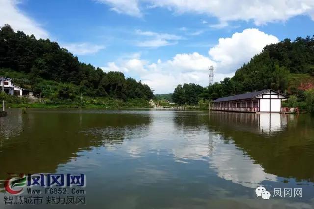 发现凤冈|进化镇九龙观光栈道