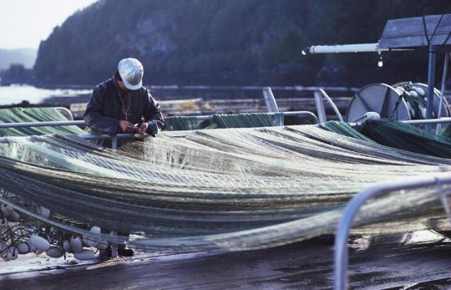 枸杞岛游记,枸杞岛两天一夜最全旅游攻略