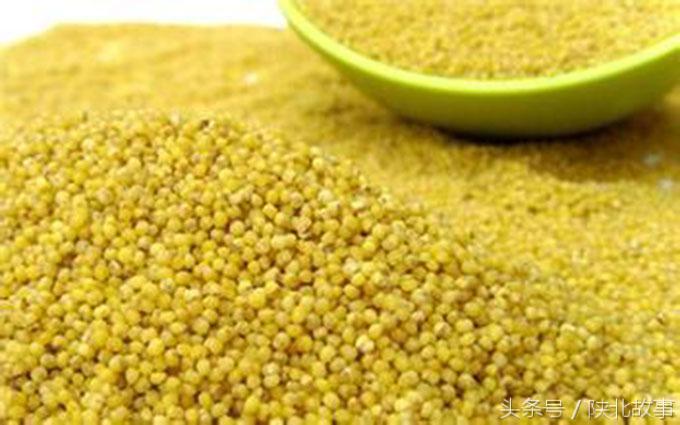 陕北香谷油小米,陕北香谷小米好不好