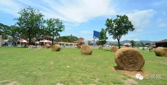 泰国华欣皇宫,泰国华欣皇家后花园