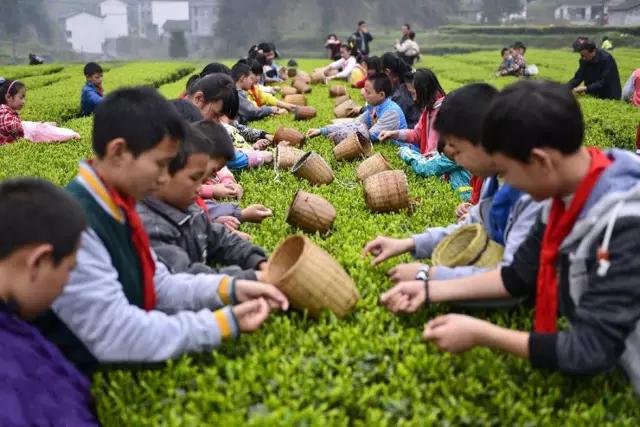 山东青岛威海长岛旅游攻略,青岛烟台威海蓬莱长岛8日游攻略