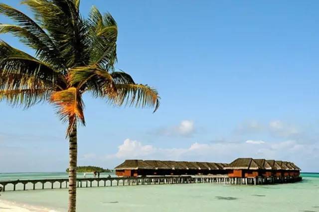 马尔代夫蜜月岛度假村,马尔代夫十大豪华度假村