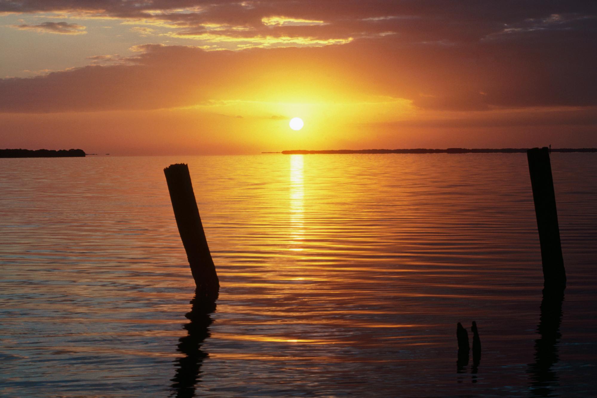 电子行业怎么样,电子行业的发展分析