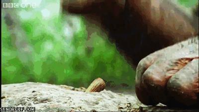 论男人掌握一门外语的重要性,论工具的重要性