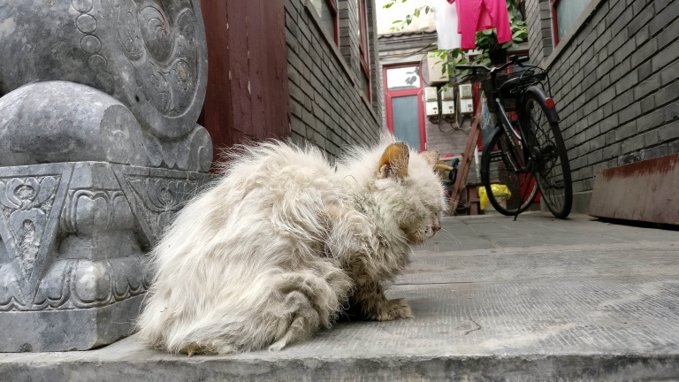 上手体验感好手机,上手体验好的手机