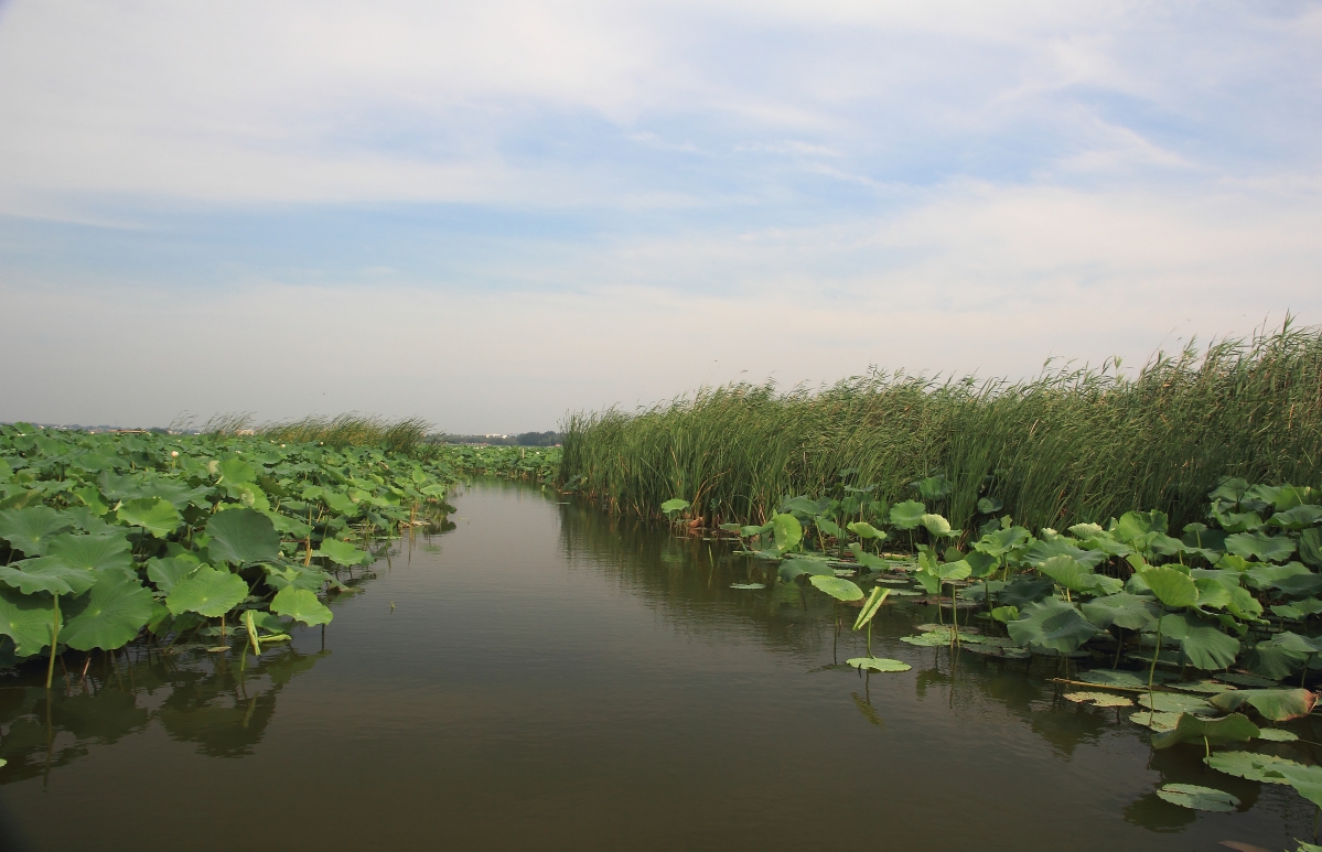 河南江南水乡,河南的水乡