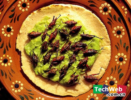 极品美味，就差瞟一眼，么么哒